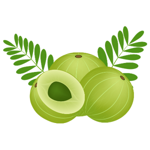 Amla Extract